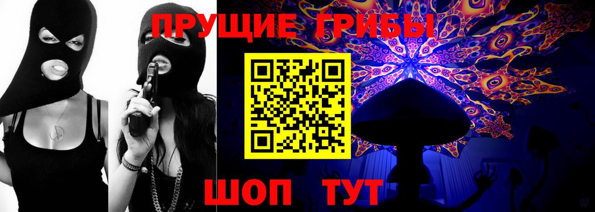 купить  сайты  Псилоцибиновые грибы GOLDEN TEACHER  Вход с VPN  Арзамас 