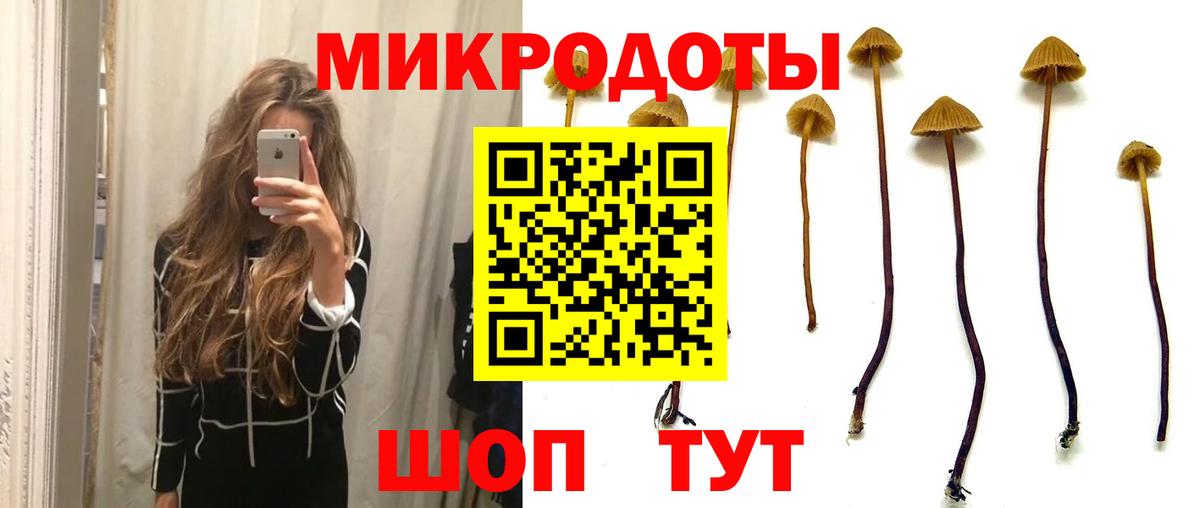 Псилоцибиновые грибы Magic Shrooms Арзамас